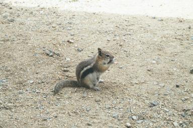 Our Colorado Vacation: Day One pics