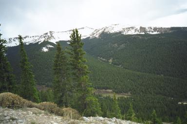 Our Colorado Vacation: Cottonwood Pass pics