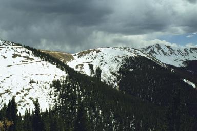 Our Colorado Vacation: Cottonwood Pass pics