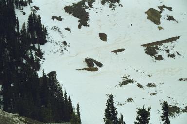 Our Colorado Vacation: Cottonwood Pass pics