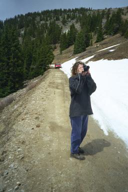 Our Colorado Vacation: Cottonwood Pass pics