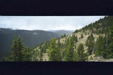 Our Colorado Vacation: Cottonwood Pass pics