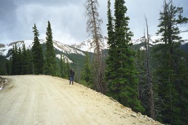 Our Colorado Vacation: Cottonwood Pass pics