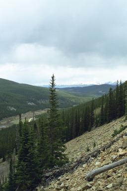 Our Colorado Vacation: Cottonwood Pass pics