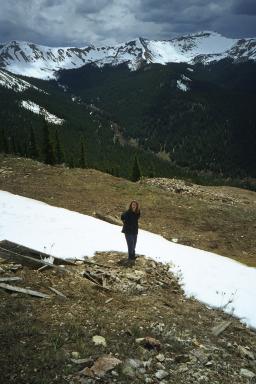 Our Colorado Vacation: Cottonwood Pass pics