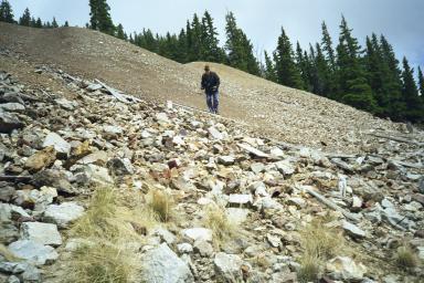 Our Colorado Vacation: Cottonwood Pass pics