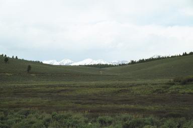 Our Colorado Vacation: Cottonwood Pass pics