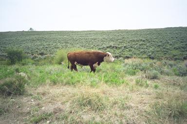 Our Colorado Vacation: Crusty Butte pics