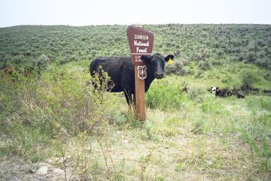 Our Colorado Vacation: Crusty Butte pics