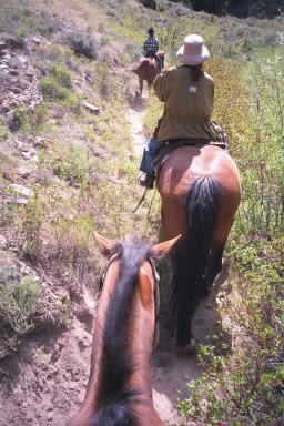 Our Colorado Vacation: Horseback Riding pics