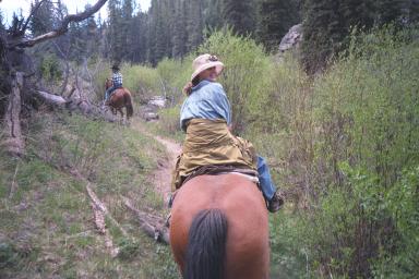 Our Colorado Vacation: Horseback Riding pics