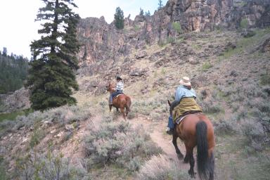 Our Colorado Vacation: Horseback Riding pics