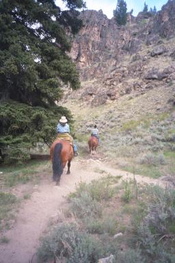 Our Colorado Vacation: Horseback Riding pics