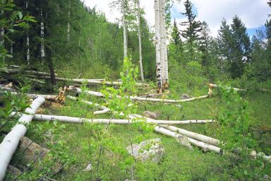 Our Colorado Vacation: Spring Creek pics