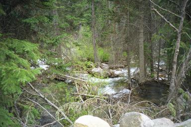 Our Colorado Vacation: Spring Creek pics