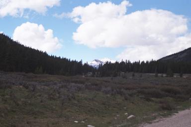 Our Colorado Vacation: Spring Creek pics