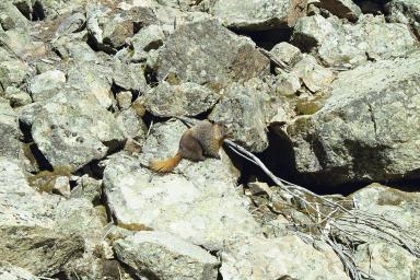 Our Colorado Vacation: Spring Creek pics