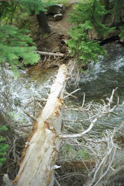 Our Colorado Vacation: Spring Creek pics