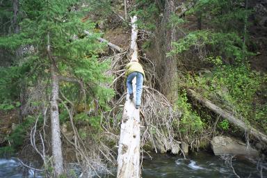 Our Colorado Vacation: Spring Creek pics