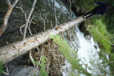 Our Colorado Vacation: Spring Creek pics