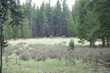 Our Colorado Vacation: Taylor Reservoir pics