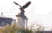 tn005.gif