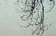 tn014.gif