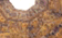 tn006.gif