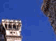 tn007.gif