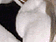 tn019.gif