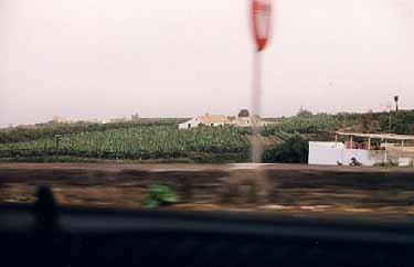 Gran Canaria II pics