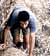 tn016.gif