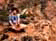 tn019.gif