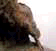 tn020.gif