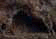 tn021.gif