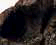 tn024.gif