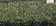 tn027.gif