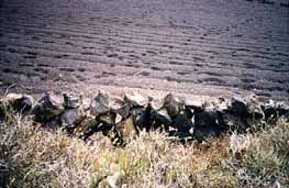 Lanzarote pics