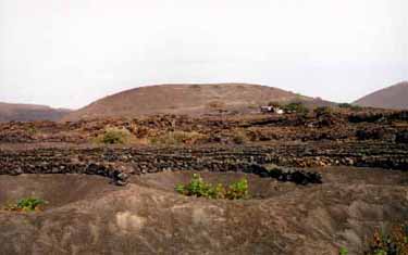 Lanzarote pics