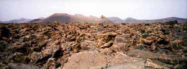 Lanzarote pics
