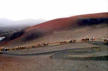 Lanzarote pics