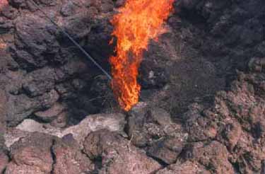 Lanzarote pics
