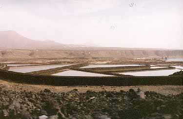 Lanzarote pics