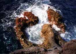 Lanzarote pics