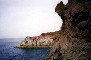 Lanzarote pics