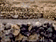 tn005.gif