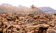 tn010.gif