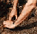 tn011.gif
