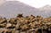 tn013.gif