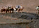 tn020.gif